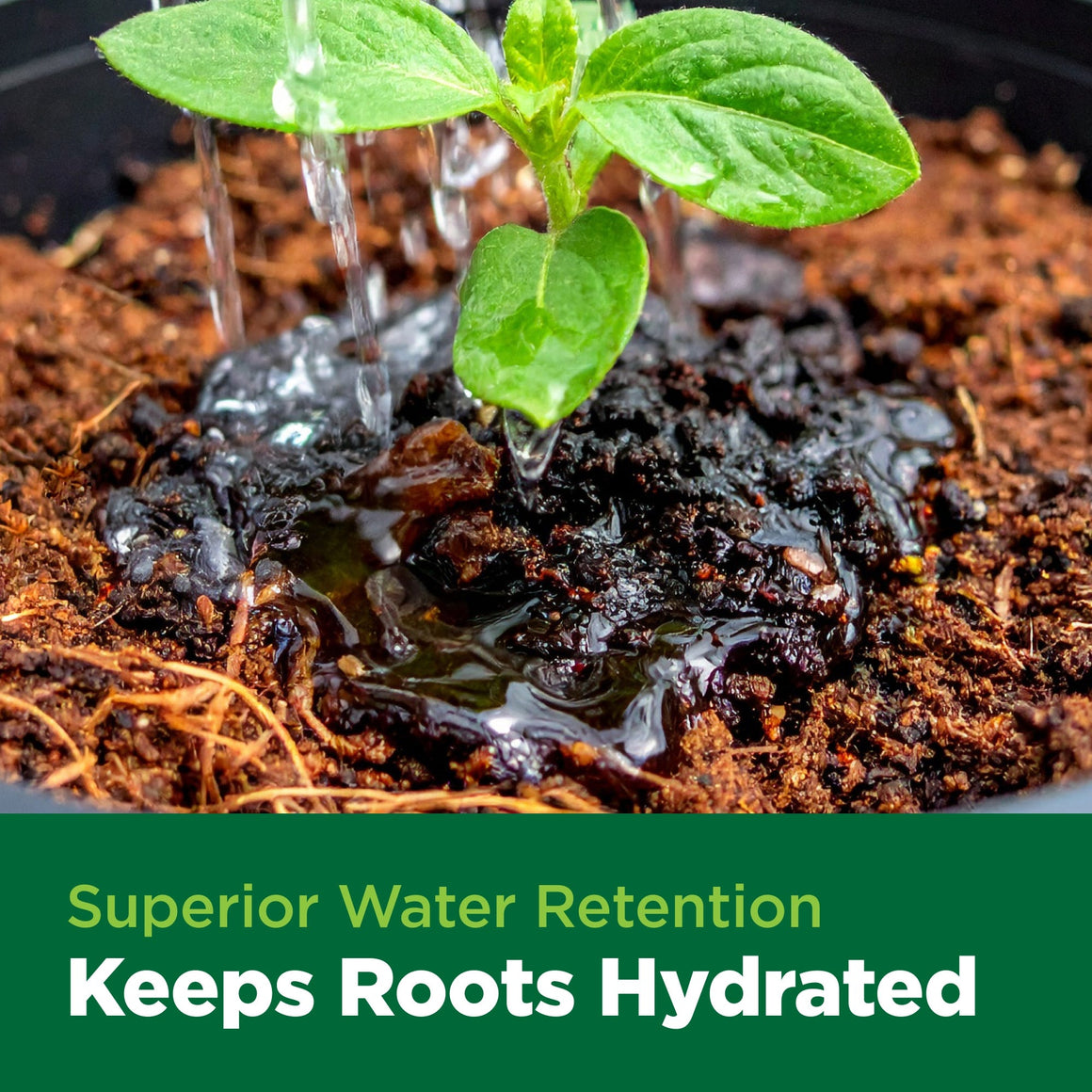 A young plant is being watered, with the text "Superior Water Retention Keeps Roots Hydrated" below.