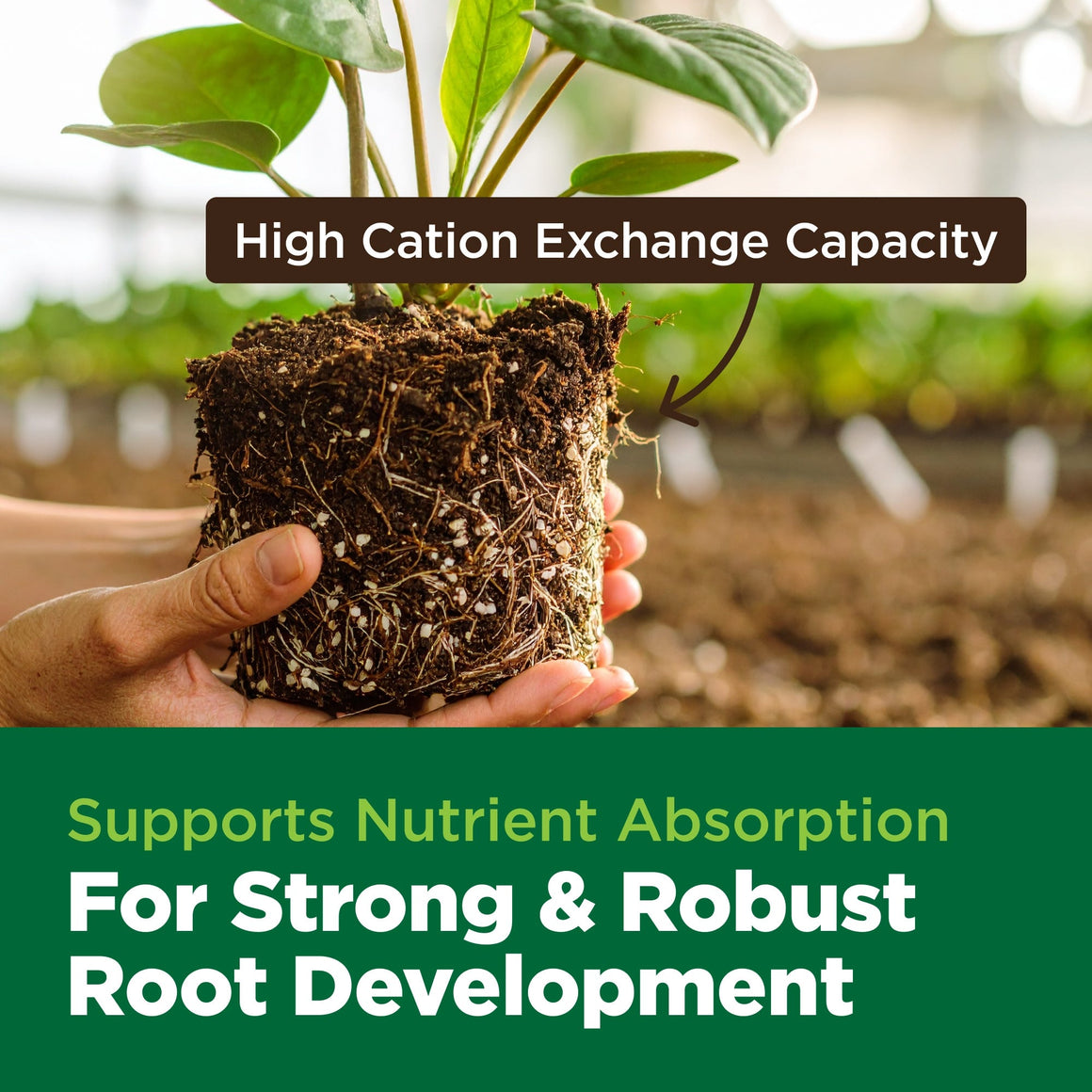 A hand holds a plant with rich soil and healthy roots, highlighting "High Cation Exchange Capacity" and "Supports Nutrient Absorption."
