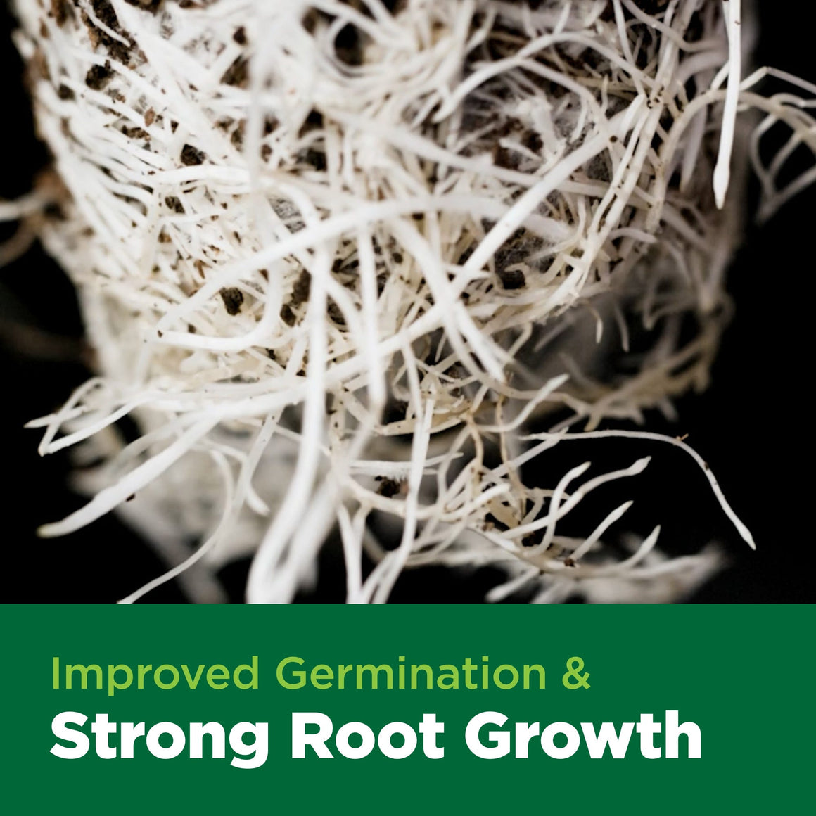 Close-up of healthy plant roots in soil, with text "Improved Germination & Strong Root Growth".