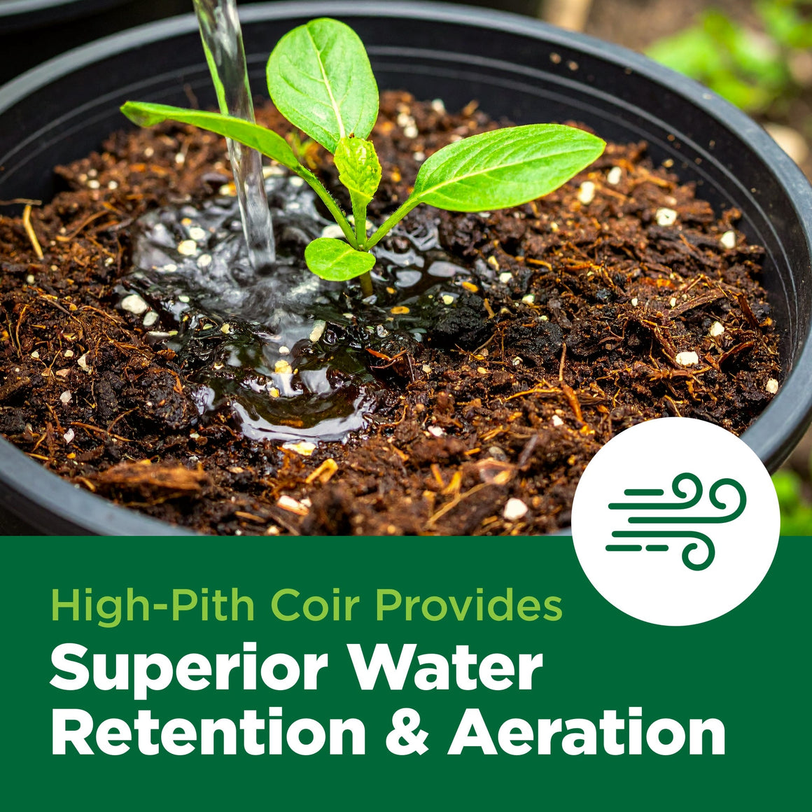 Water pours onto a seedling in soil, highlighting superior water retention & aeration.