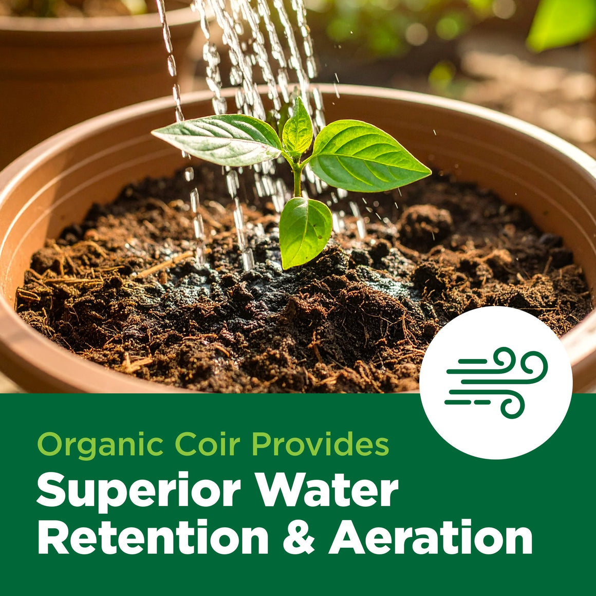 Watering a seedling in organic coir soil, with text about superior water retention & aeration.