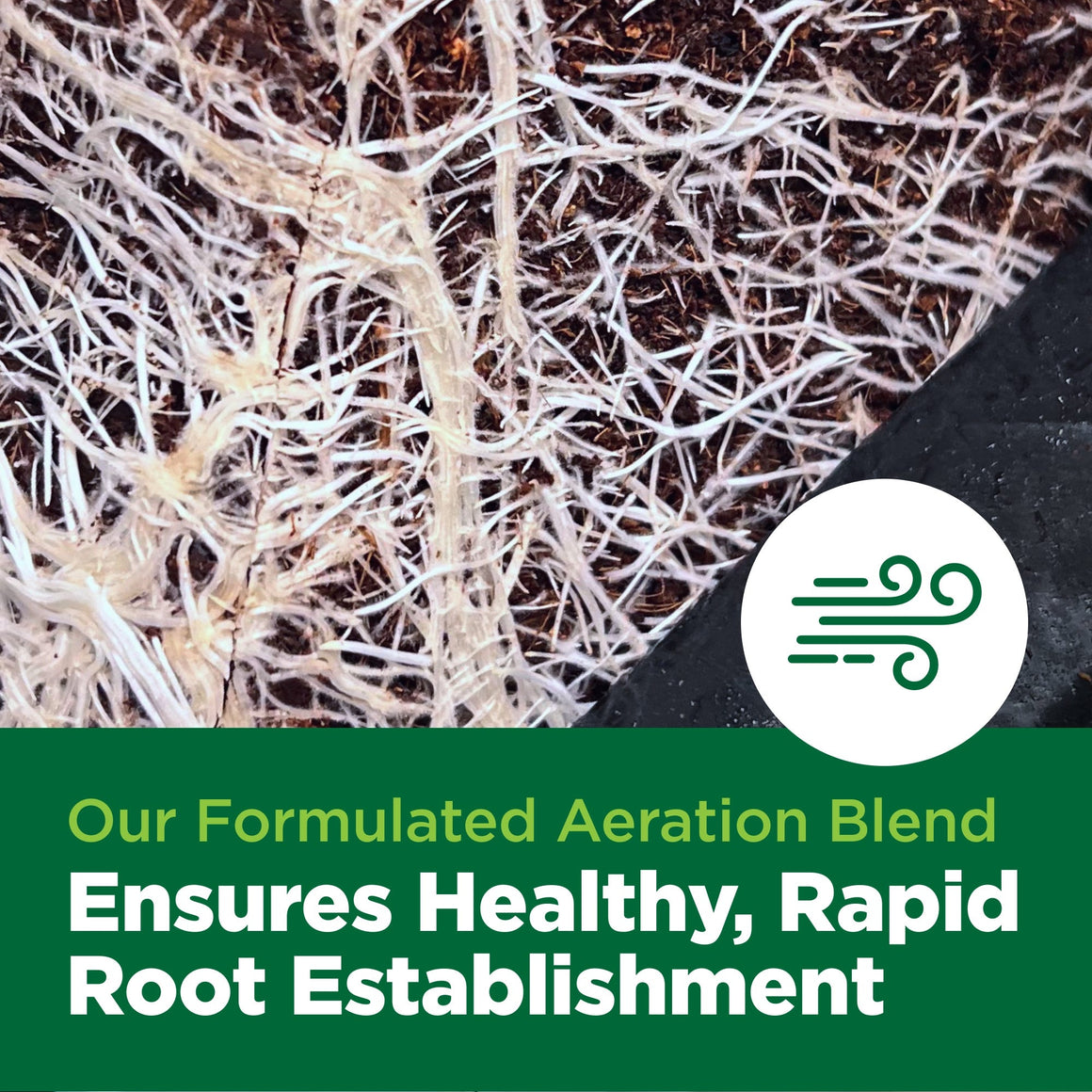 Close-up of healthy white plant roots in dark soil, with a green text overlay about aeration.