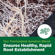 Close-up of healthy white plant roots in dark soil, with a green text overlay about aeration.