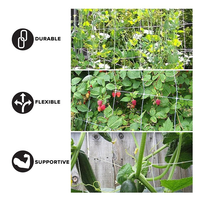 White garden trellis netting supporting pea vines, raspberry bushes, and cucumbers.