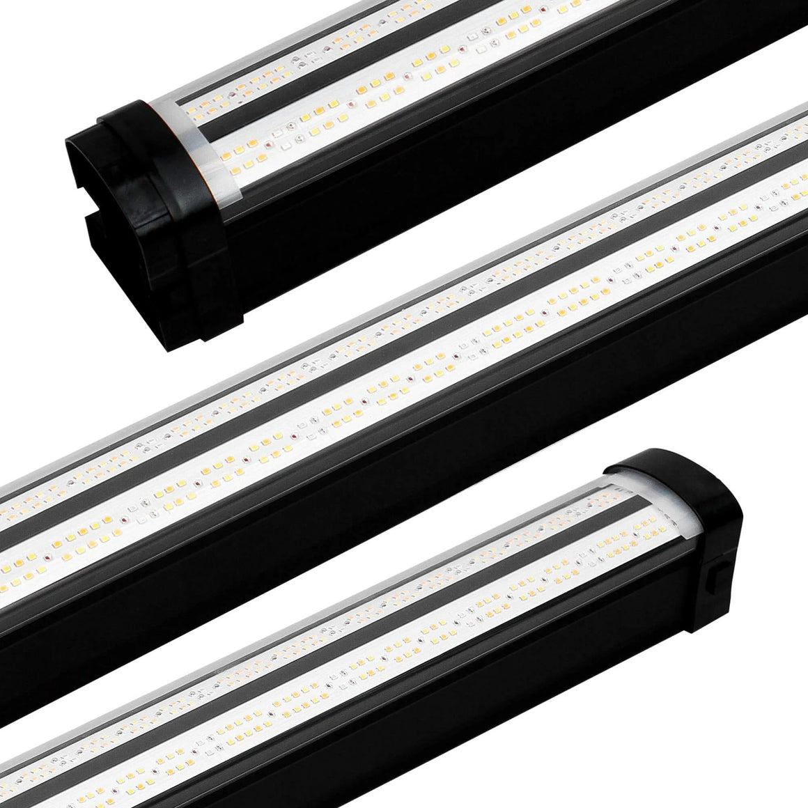 Tri-Spec 150W UnderCanopy LED bars, close-up view, showing double rows of white and red diodes on a reflective surface.