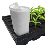 White, textured seedling starter cup in black seedling tray with small green plants.