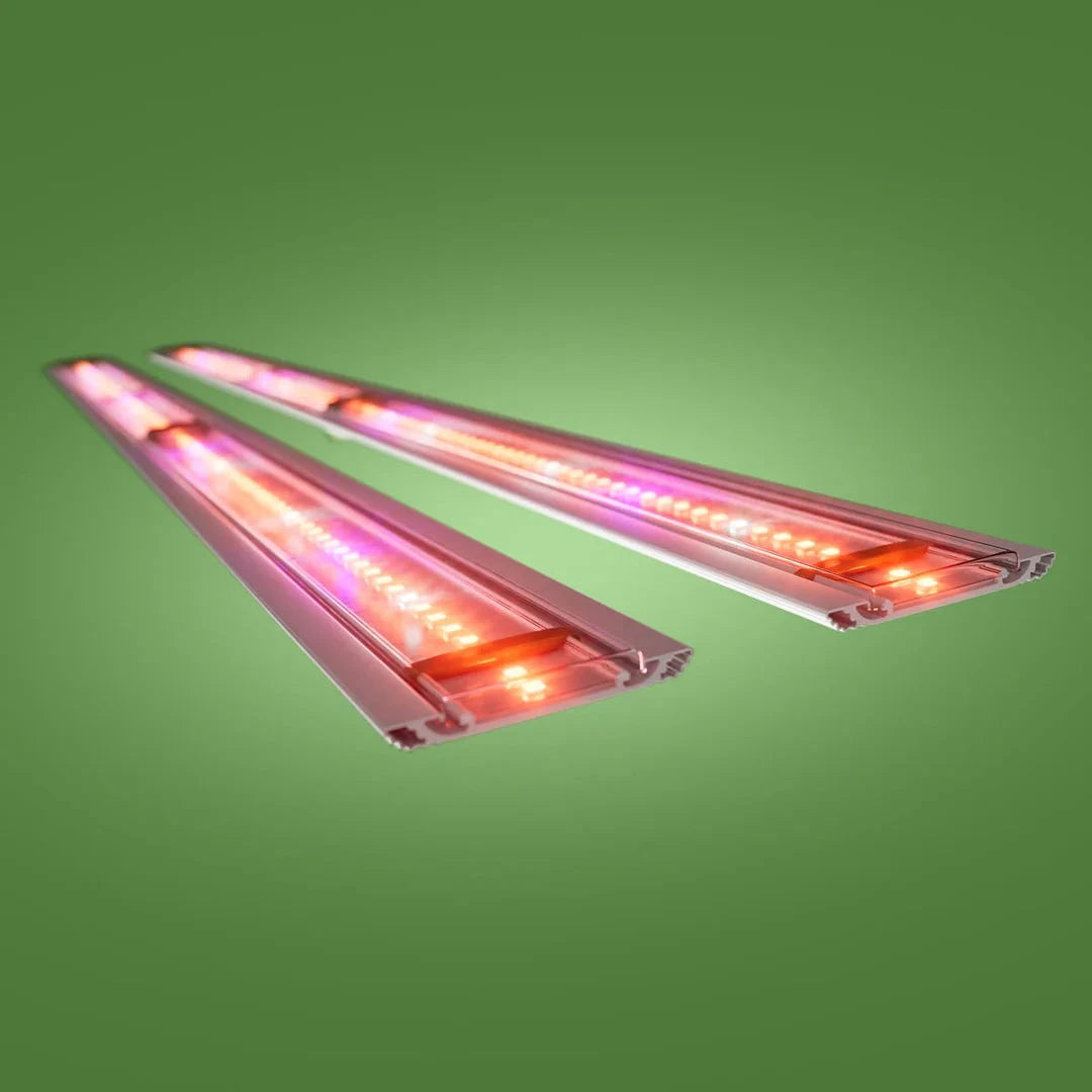 Two angled silver bars with bright red and purple LED grow lights illuminated against a green background.