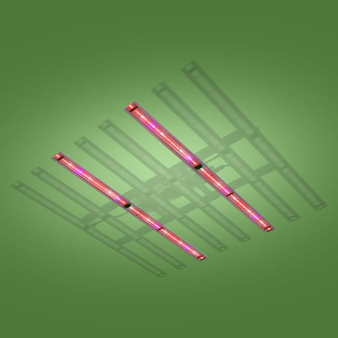Two bright pink and red LED grow light bars against a green background with faint grid shadows.