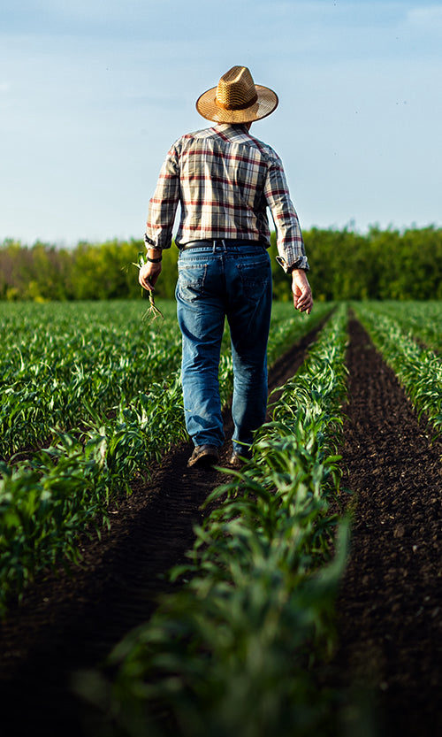 Farmer in straw hat and plaid shirt walks through a green field.