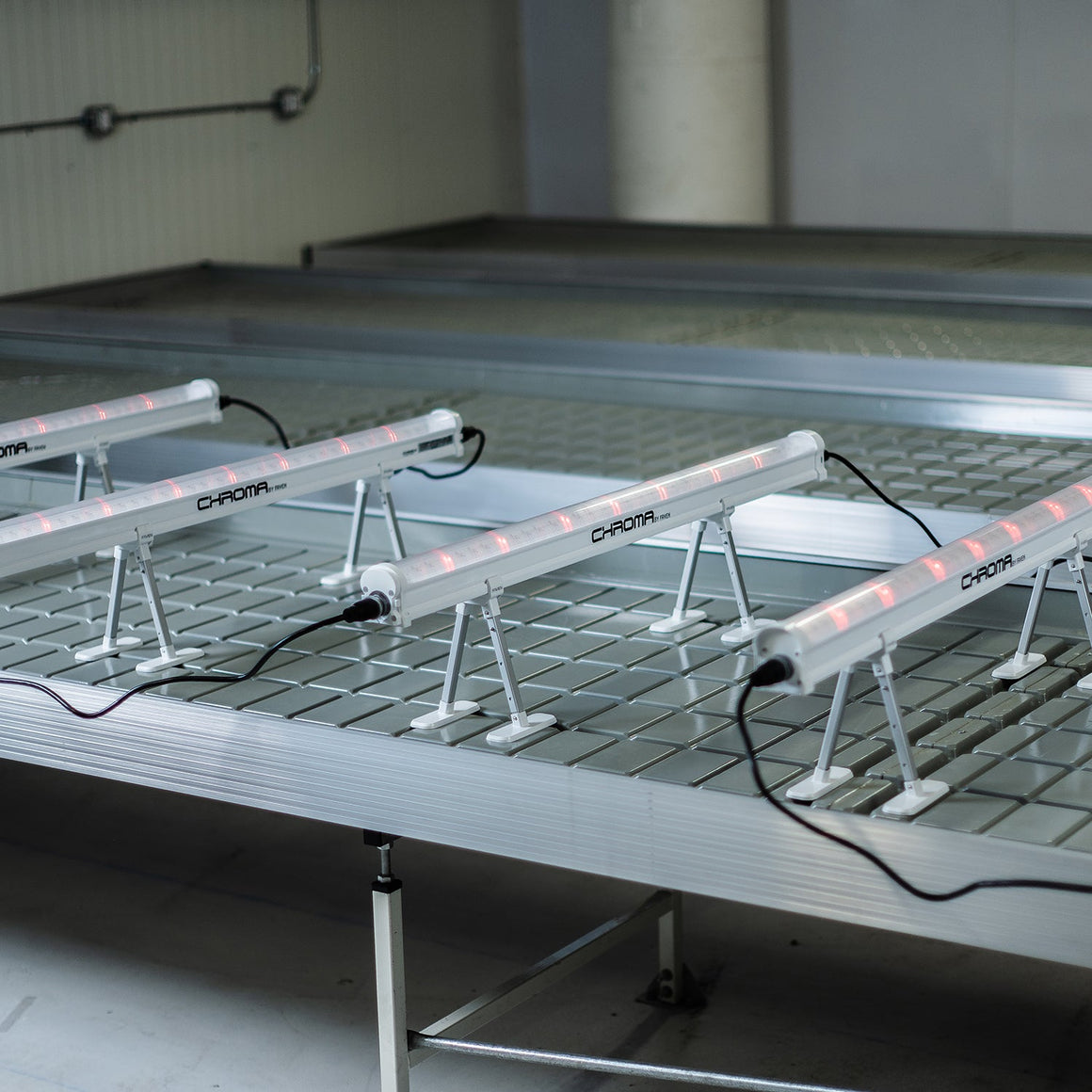 Row of white LED lights with red glow, labeled "CHROMA", positioned on metal racks.