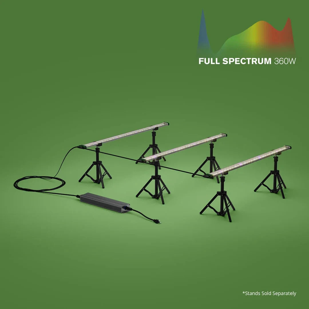 FloraFlex 360W full spectrum LED grow lights: four bars on black tripods connected to power supply, green surface.