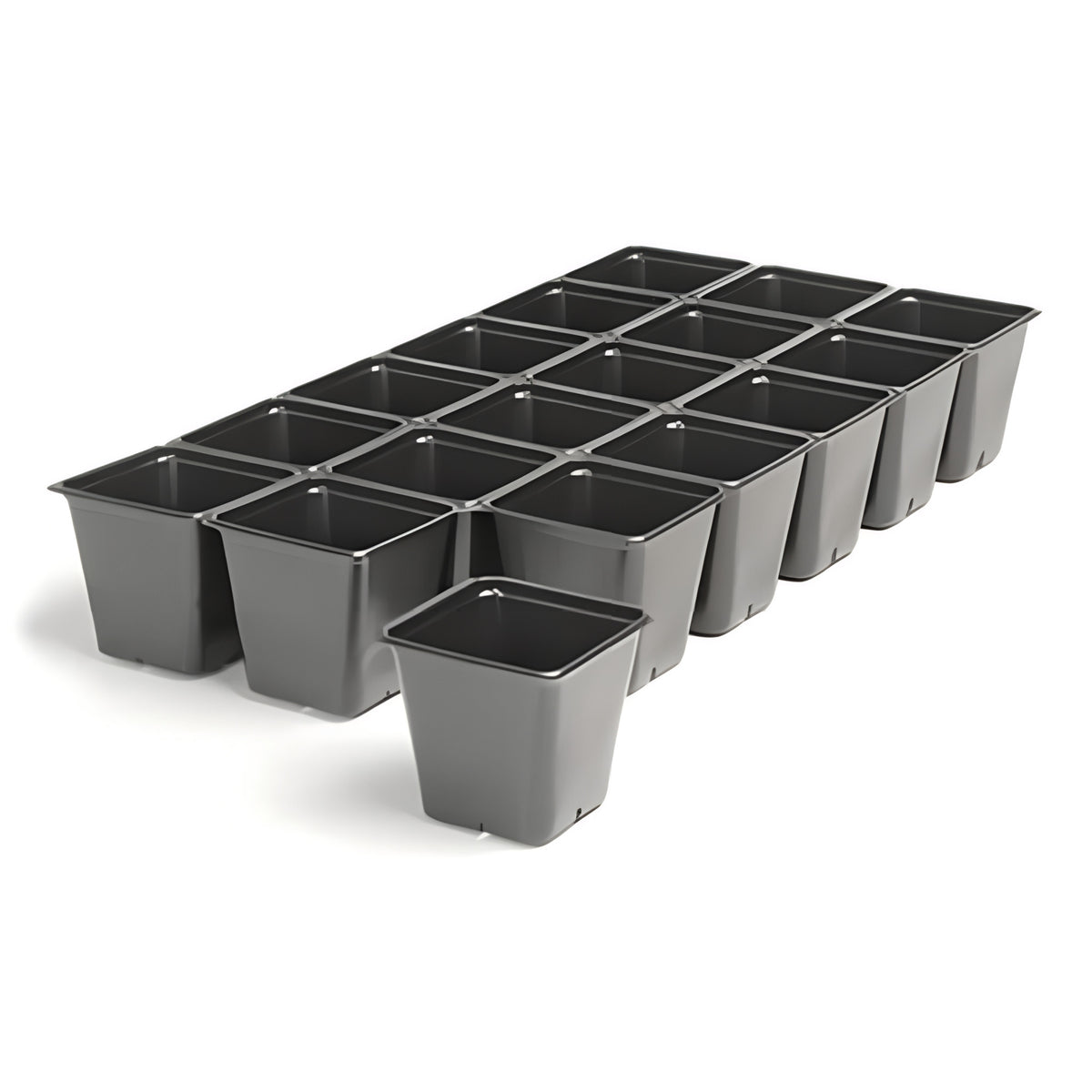 A tray of 20 black, square plastic seedling pots for growing plants.