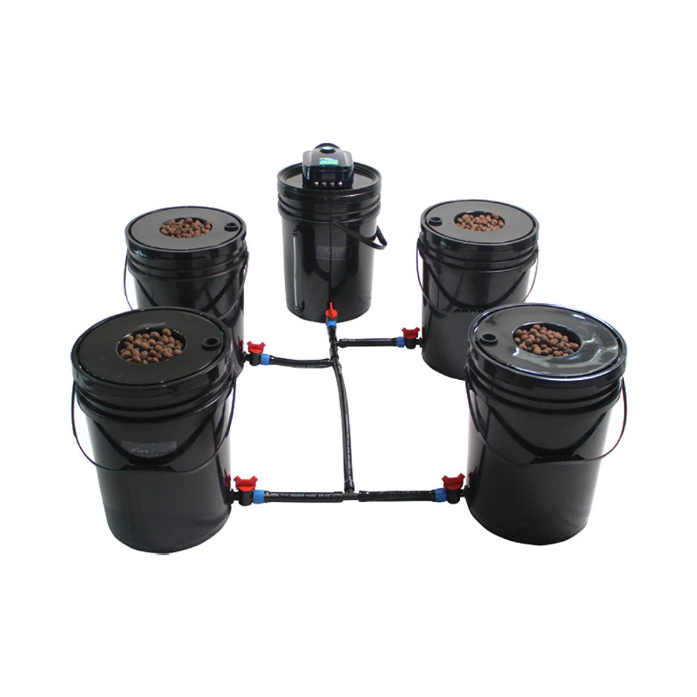 Hydroponic grow kit with 5 black buckets, timer, and drip irrigation system.