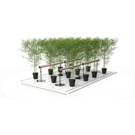 Hydroponic grow system with potted bamboo-like plants, under-canopy LED lights on a white platform.