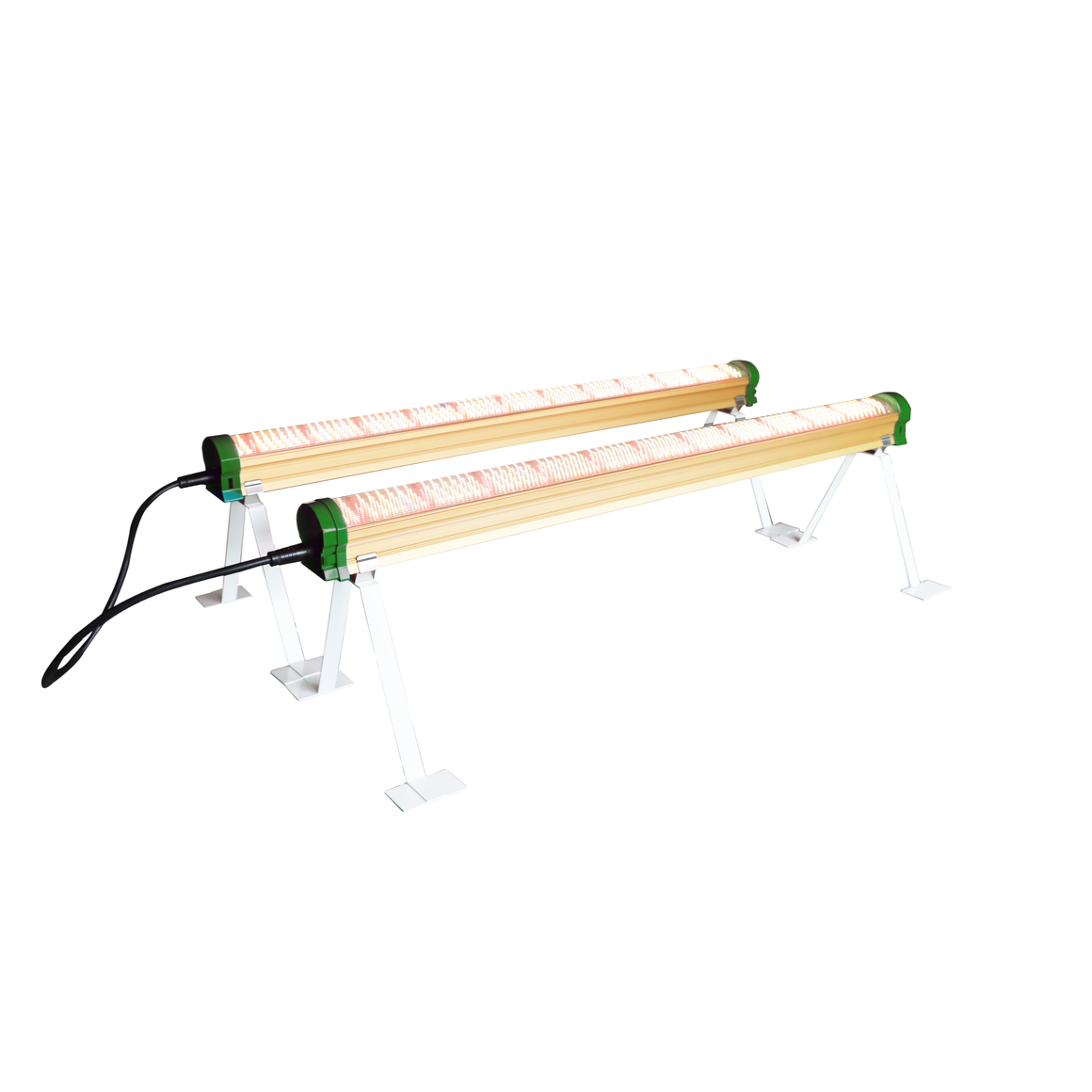 Two glowing red-enhanced LED grow lights on white stands, angled against a black background.