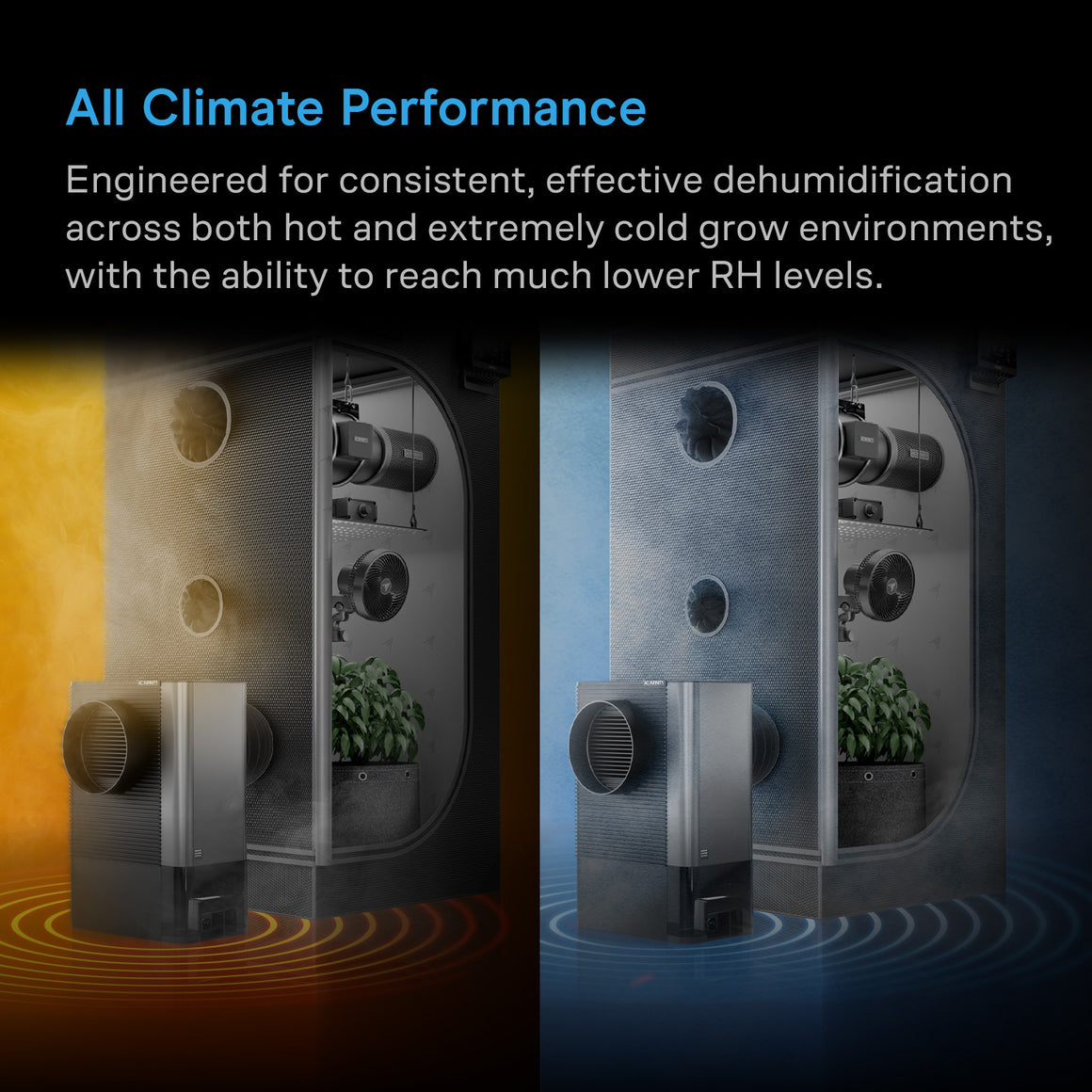 Dehumidifier in a grow tent, showing climate control for hot & cold environments.