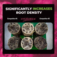 Hygroben boosts root density significantly compared to competitors. See the vibrant root systems.