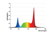 Iluminar iLogic MS-PLUS 700W grow light spectrum graph with peaks in blue and red wavelengths.