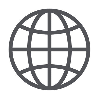Gray globe icon with grid lines, representing international shipping.