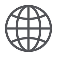 Gray globe icon with grid lines, representing international shipping.
