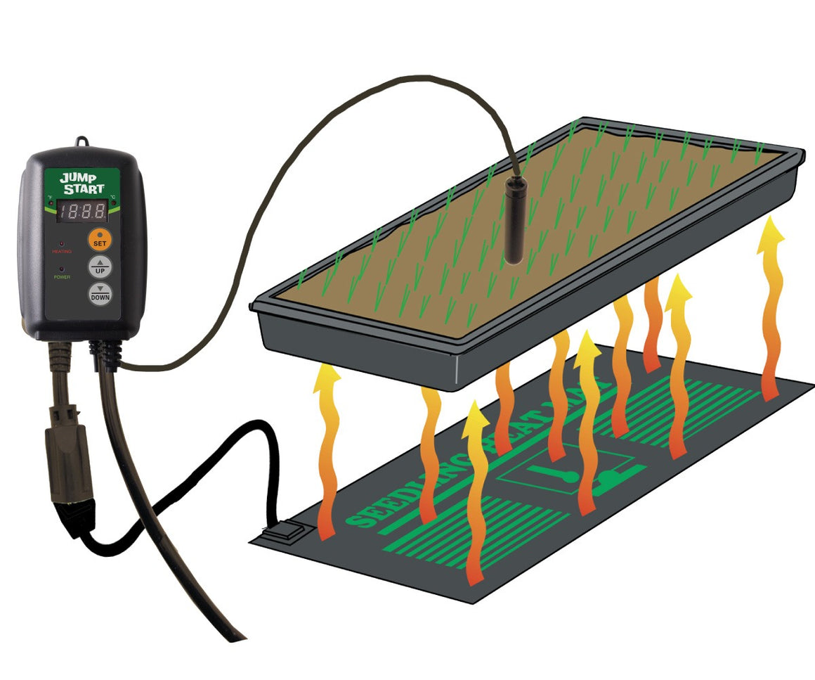 Jump Start digital temperature controller with seedling tray and heat mat.