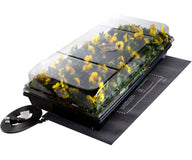 JumpStart germination station with yellow flowers, heat mat, and clear dome.