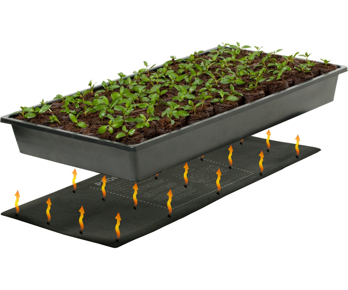 Seedlings in a tray on a heat mat, with orange arrows indicating heat.