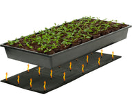 Seedlings in a tray on a heat mat, with orange arrows indicating heat.