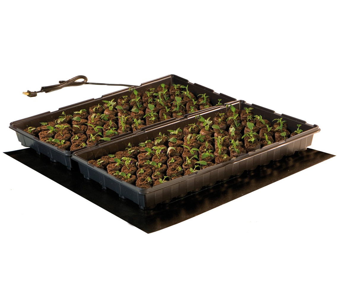 Two seedling trays with young plants on a black heat mat with a power cord.
