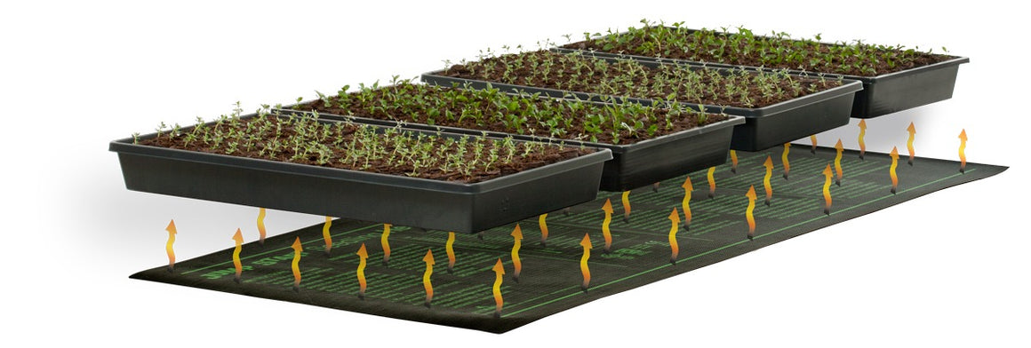 Black seed trays with young plants sit above a green seedling heat mat with orange arrows indicating heat.