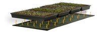 Black seed trays with young plants sit above a green seedling heat mat with orange arrows indicating heat.