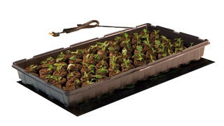 Seedling heat mat with growing tray filled with small plants in peat plugs.