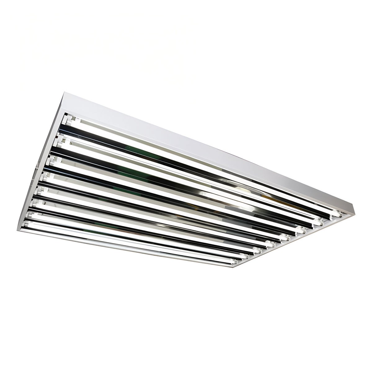 Lightech T5 4x8 grow light fixture with 120V, featuring multiple bright fluorescent bulbs in a white frame.