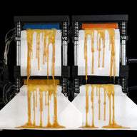 Rosin drips from four connected presses, creating a textured, amber cascade.