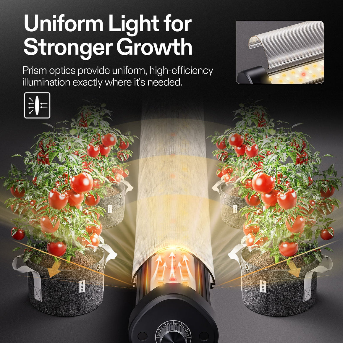 LumaRay under-canopy grow light with prism optics uniformly illuminating fruit-laden tomato plants in grow bags.