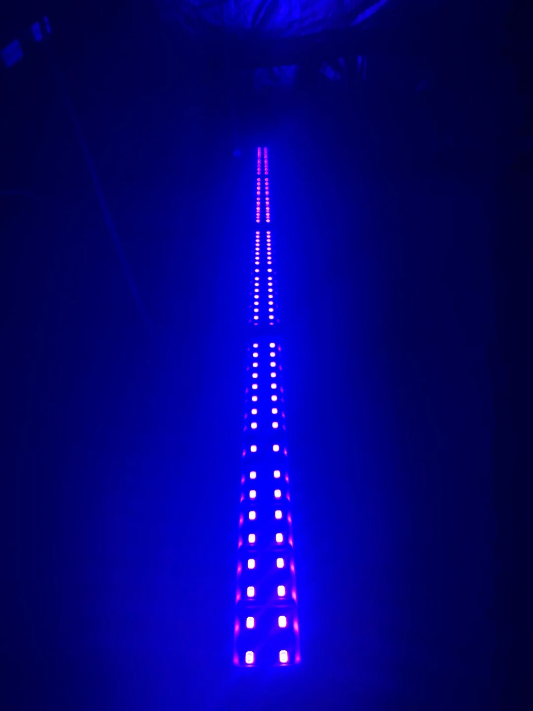 Tall strip of blue LEDs against a dark background.
