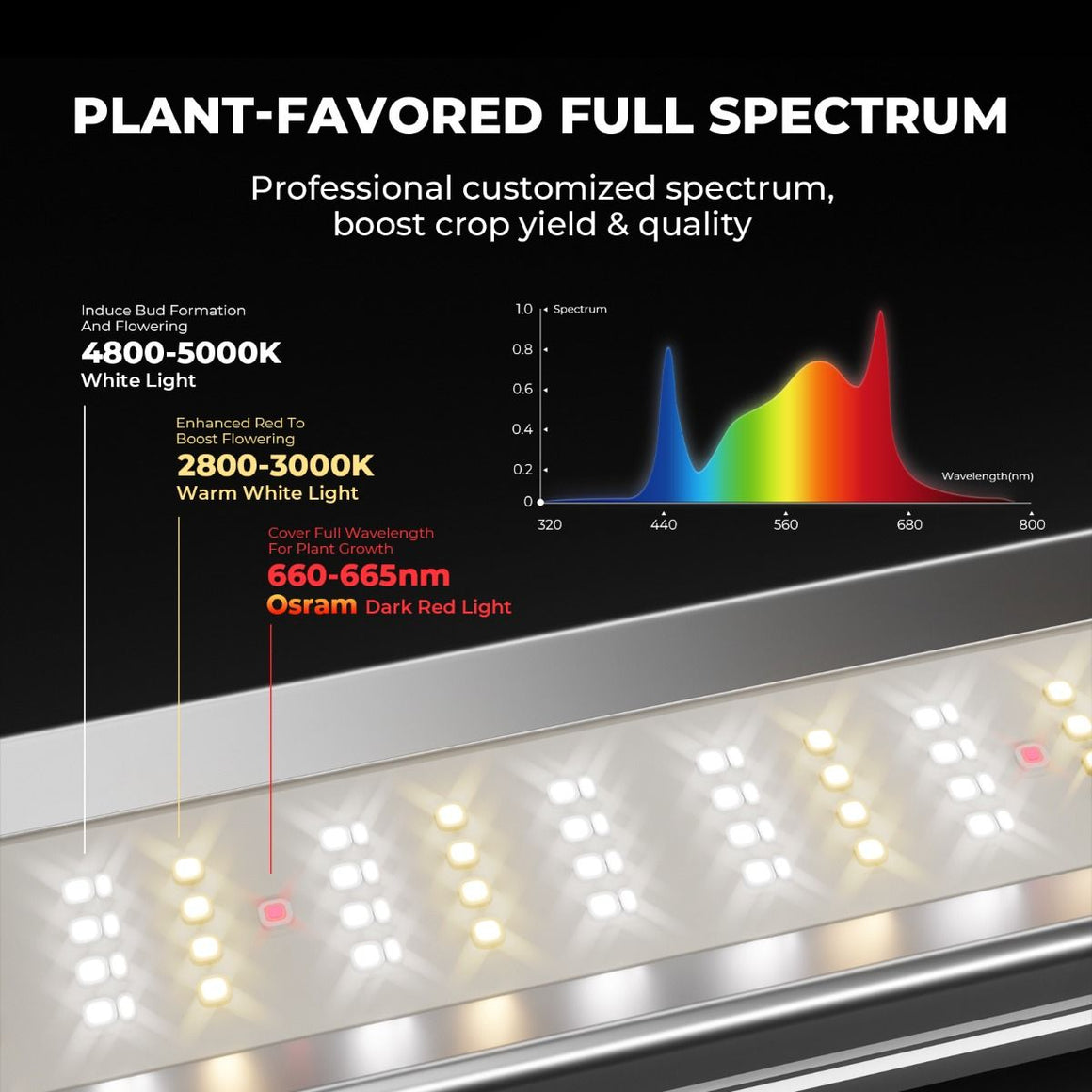 LED grow light spectrum diagram: 4800-5000K white light & 2800-3000K warm white light boost growth, 660-665nm dark red light for flowering.