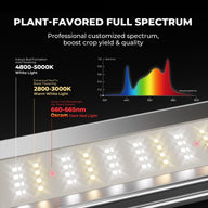 LED grow light spectrum diagram: 4800-5000K white light & 2800-3000K warm white light boost growth, 660-665nm dark red light for flowering.
