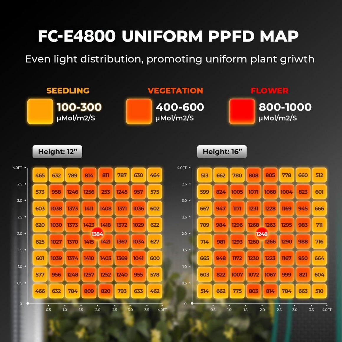 Mars Hydro FC-E4800 PPFD map: light distribution at 12" & 16" heights for seedling, vegetation, flower stages.