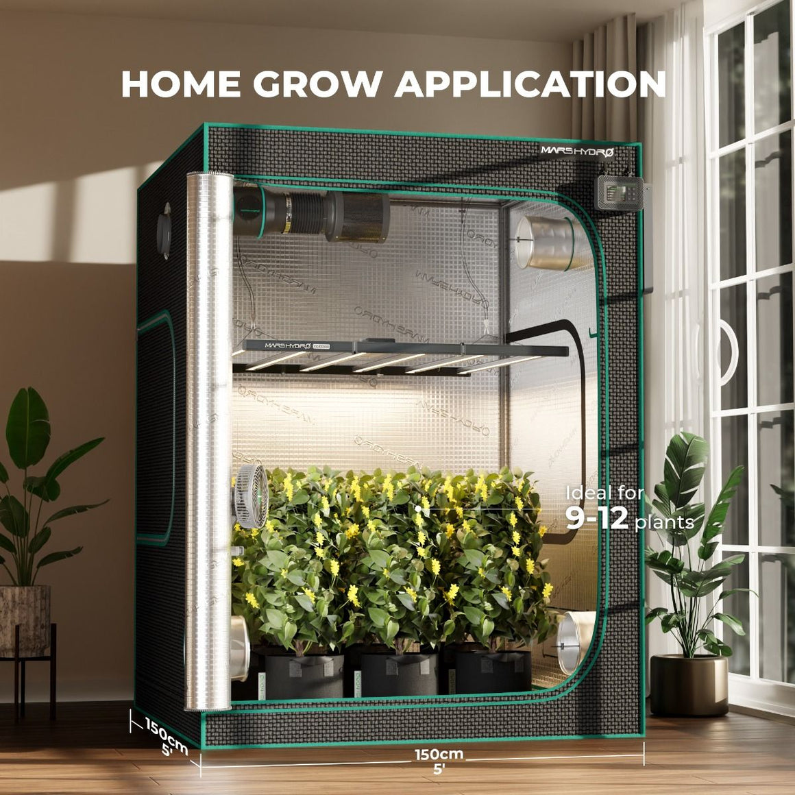Mars Hydro FC-E6500 LED grow tent, 150cm x 150cm, ideal for 9-12 plants.