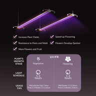 Two purple UV/FR grow lights with benefits like increased plant yields, faster flowering, pest resistance, and usage schedule.