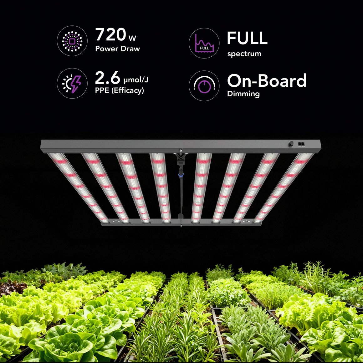 Full spectrum LED grow light with 720W power, 2.6 µmol/J efficacy, and onboard dimming over rows of fresh lettuce and herbs.