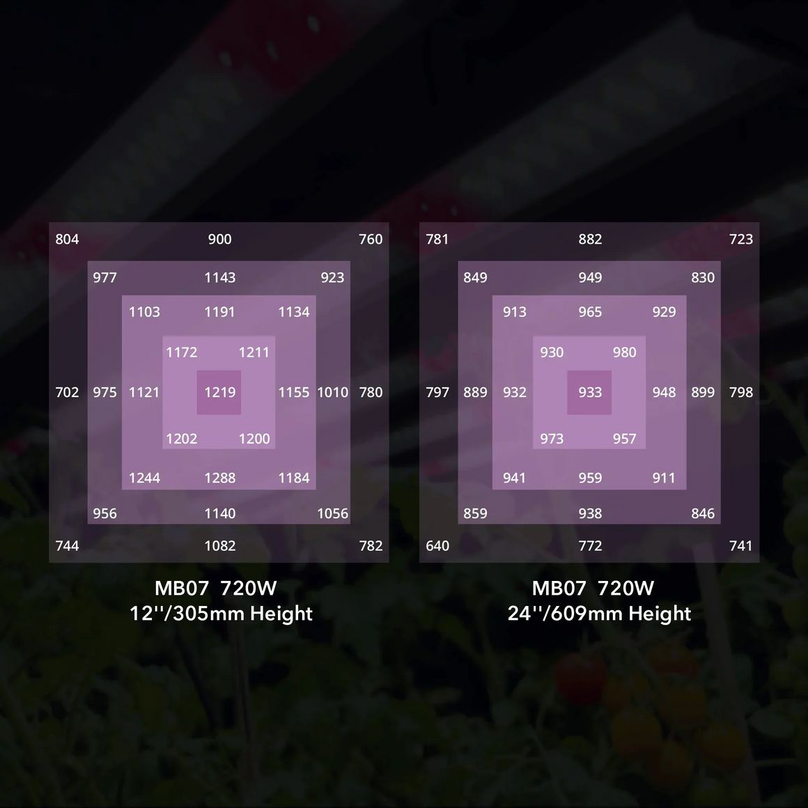 Two PPFD charts for a MedicGrow MB07 720W LED light at 12" and 24" heights.