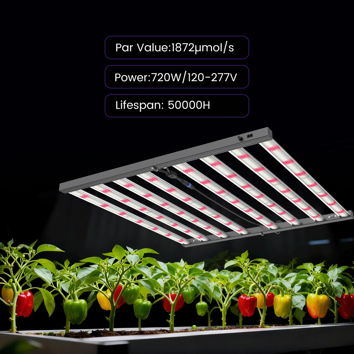 Full spectrum LED grow light illuminating pepper plants with red and yellow peppers.