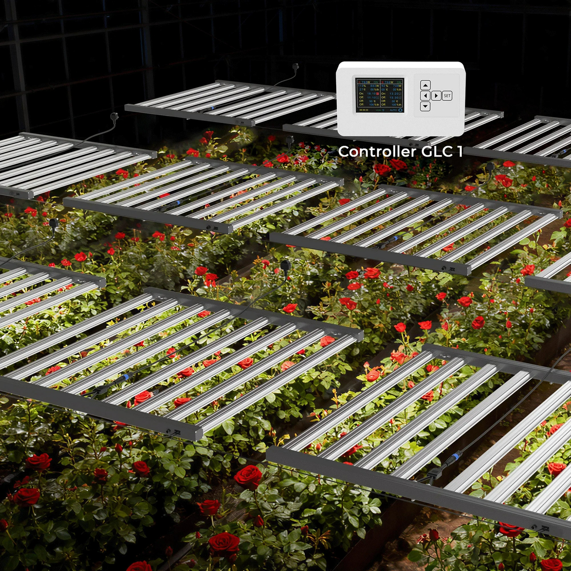 MedicGrow full spectrum LED grow lights above red roses with controller.
