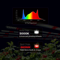 Full spectrum LED grow light spectrum with white chips for photosynthesis and red chips for buds & crops.