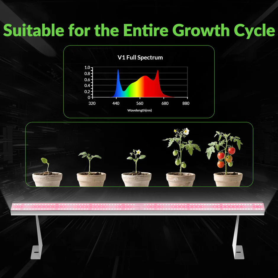 Full spectrum grow light bar, spectrum graph, and plants demonstrating complete growth cycle from seedling to ripe tomatoes.