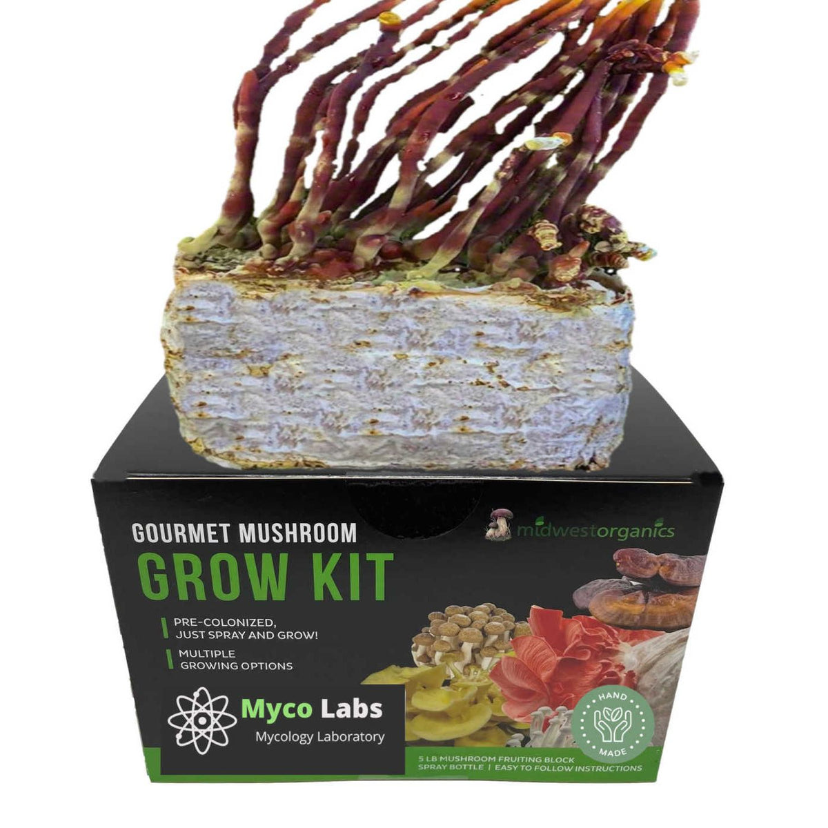 Midwest Organics Antler Reishi Mushroom Grow Kit with red antler mushrooms growing from fruiting block.