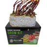 Midwest Grow Kits Antler Reishi Mushroom Grow Kit (5lbs)