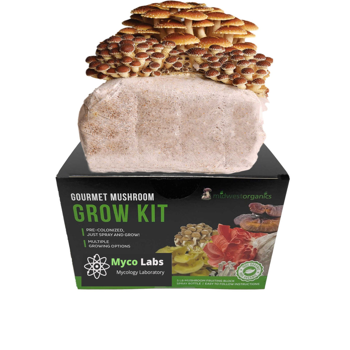 Midwest Grow Kits Chestnut Mushroom Grow Kit (5lbs)
